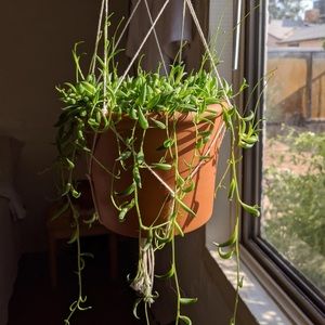 Meet your Posher, Lola